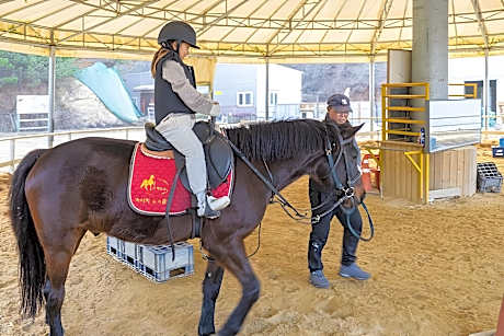 Taean Anmyeondo Badabi Pension