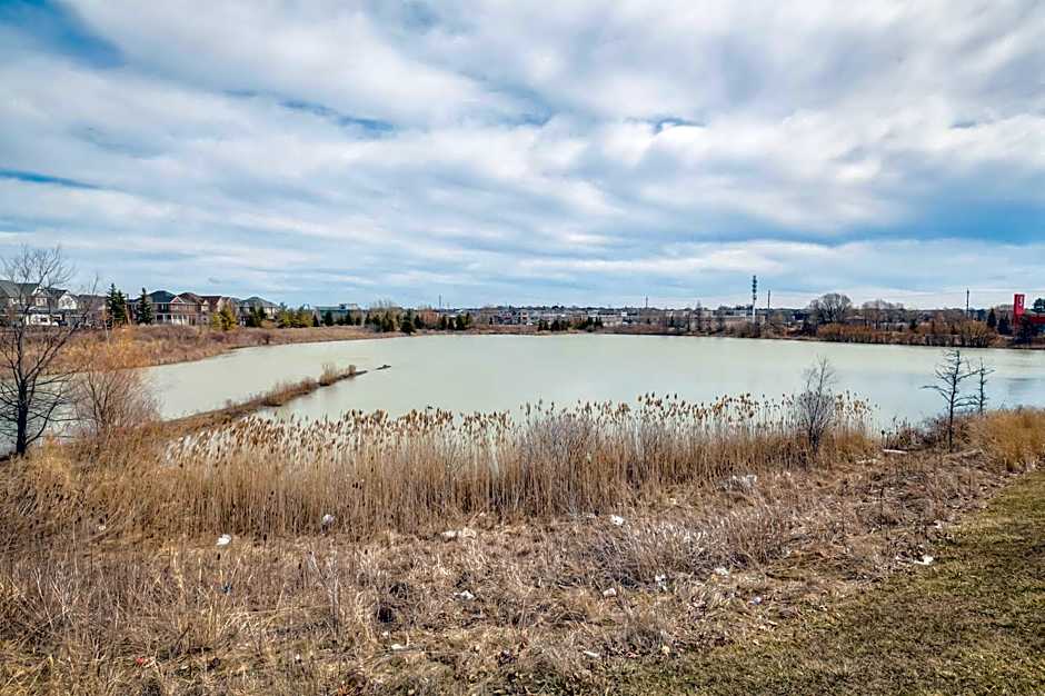 Unwind Here in a Stylish and Cozy Space