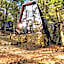 Eco Village In The Forest
