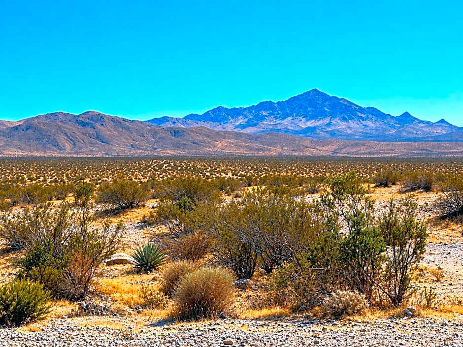 Motel 6 Barstow, CA - Mojave Desert Stop - I-15