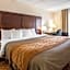 Comfort Inn & Suites at I-85