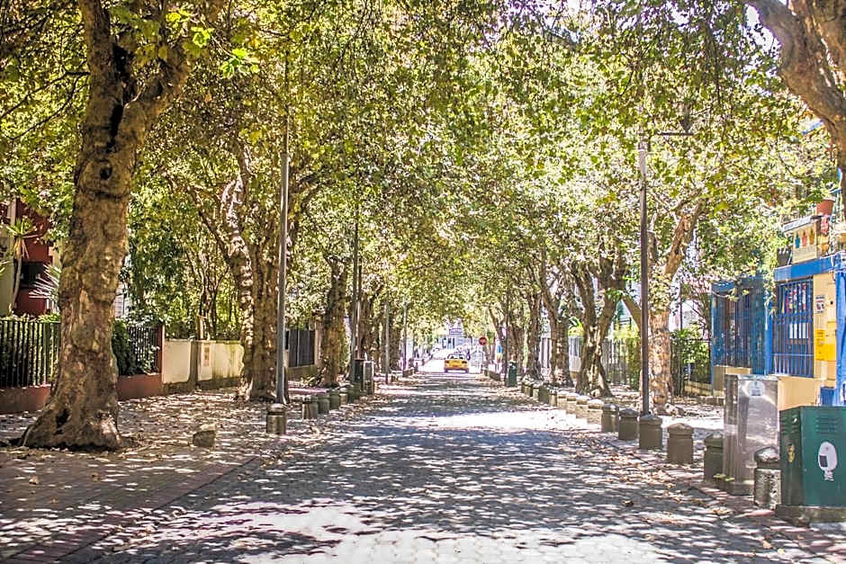 Hostal Posada del Maple