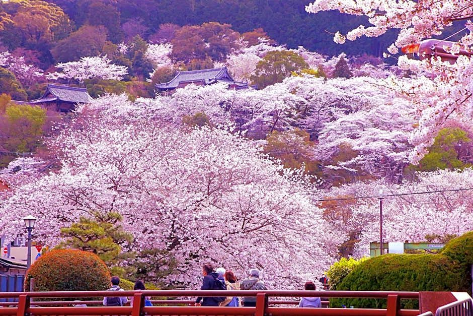 Hotel Honnoji