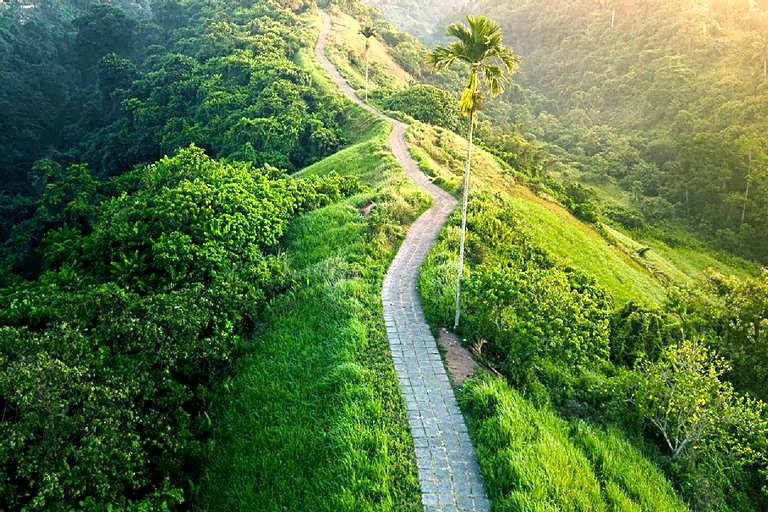 Green Flow Villa 16