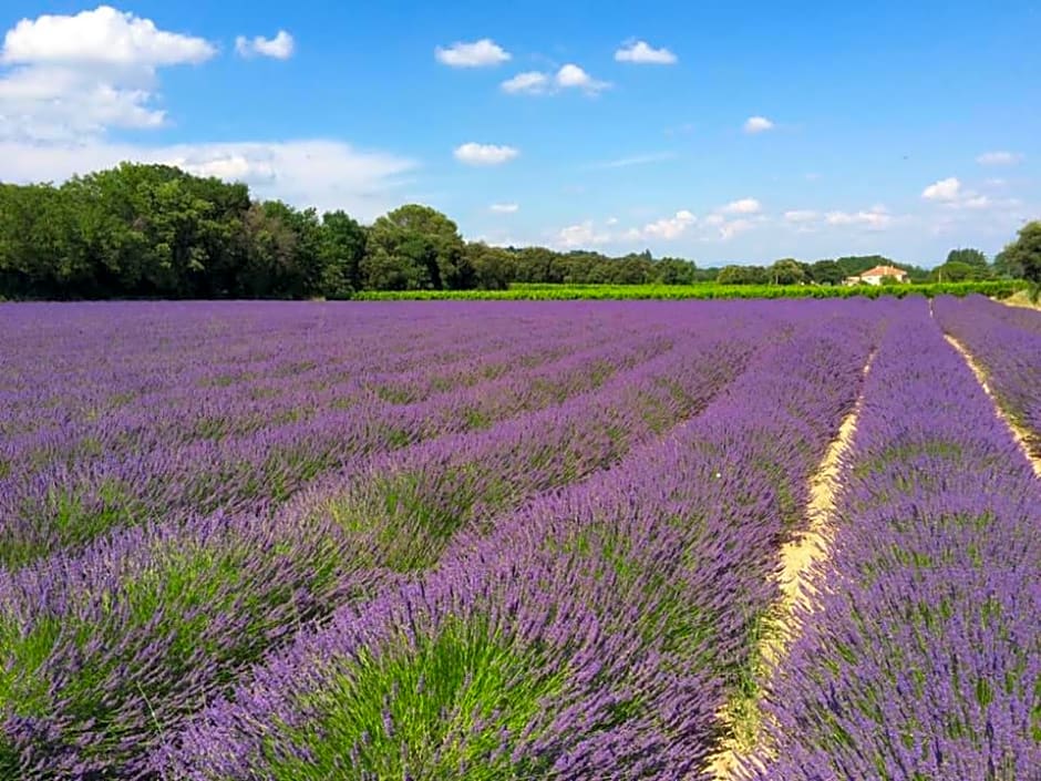 Chambre d’hôtes vaucluse