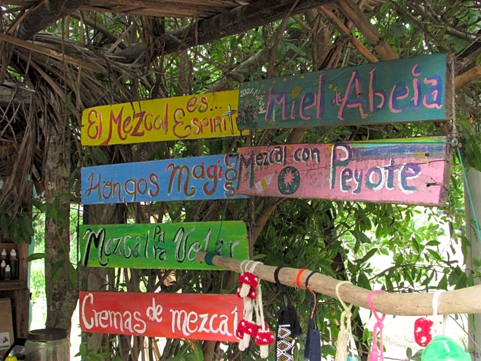 Hab #11 La Casa del Profe Salo