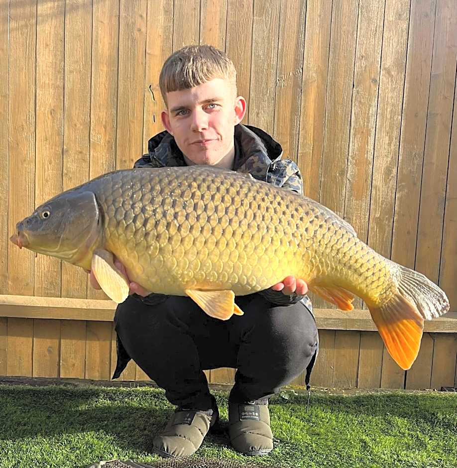 Balmoral Studio Lodge