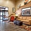 Comfort Inn Okemos
