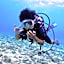 PamAnilao and Padoy's Dive Camp