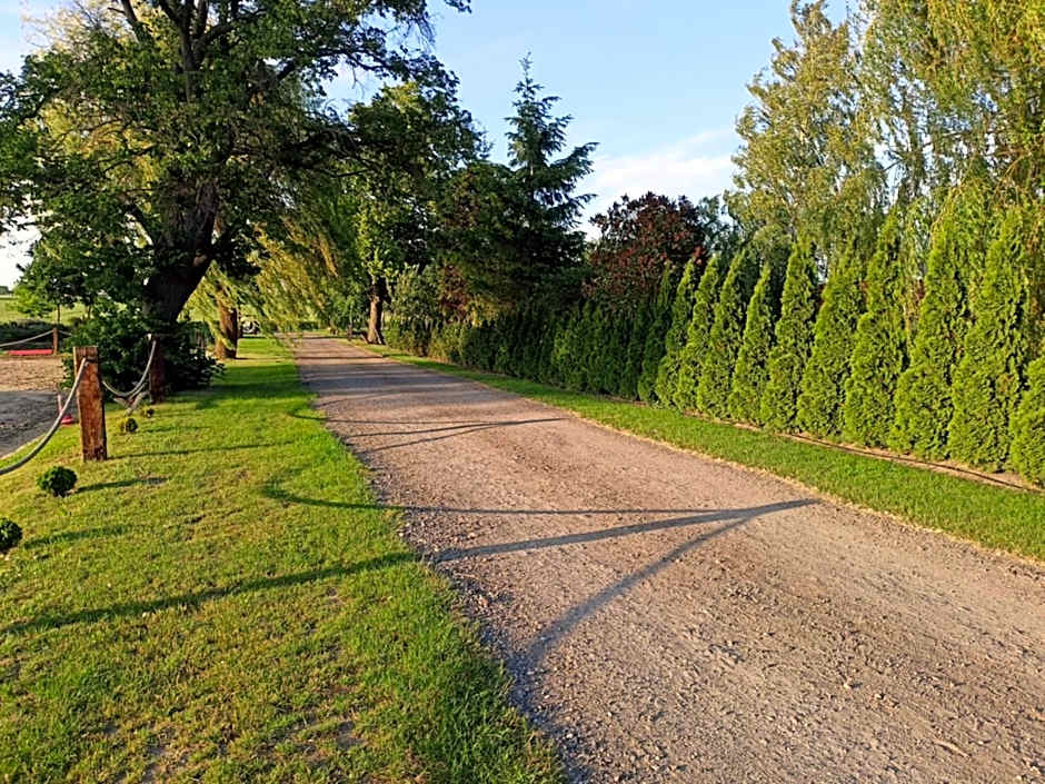 Domek 1 w Rancho Żnin