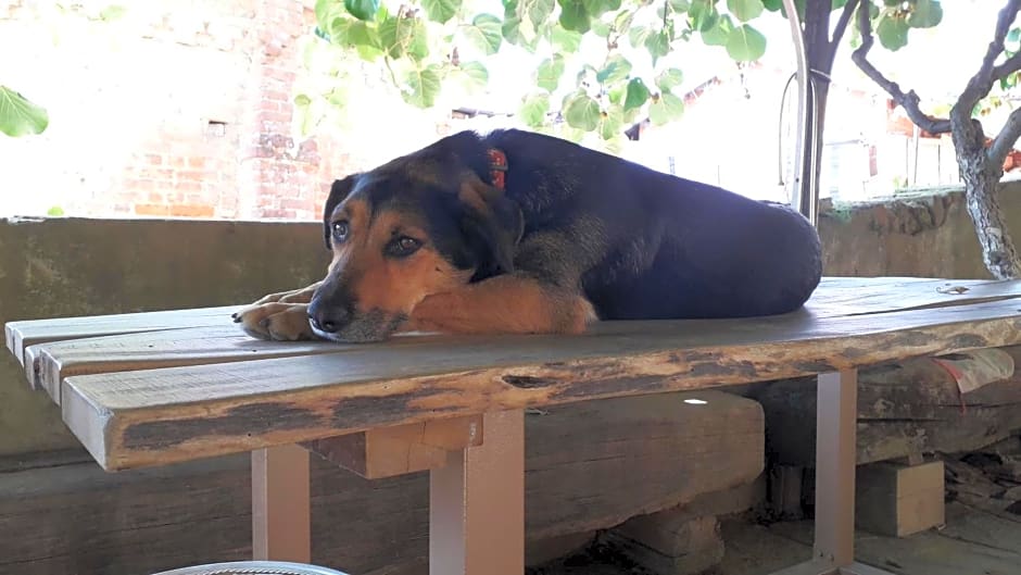 PocoBurro Ca' d'arte