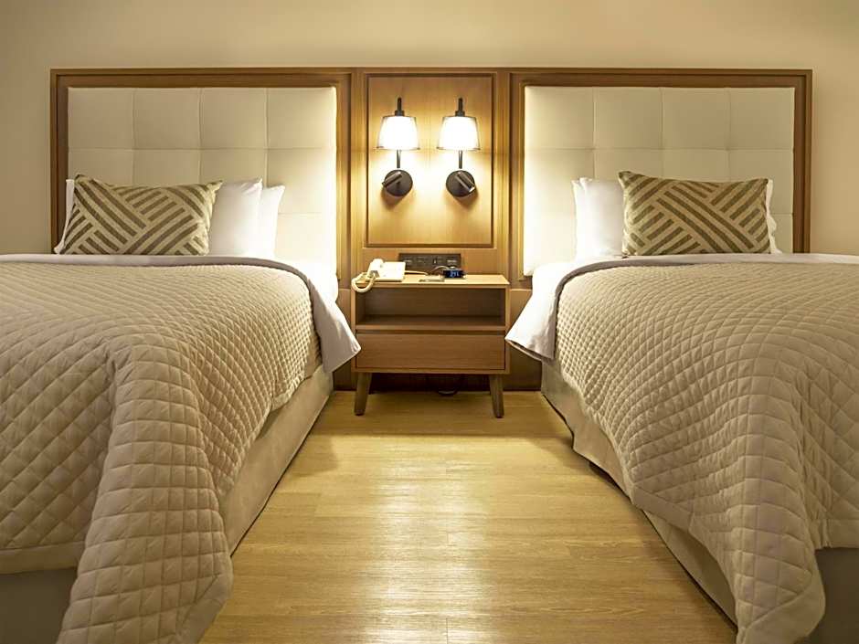 MS Milenium Monterrey, Curio Collection by Hilton