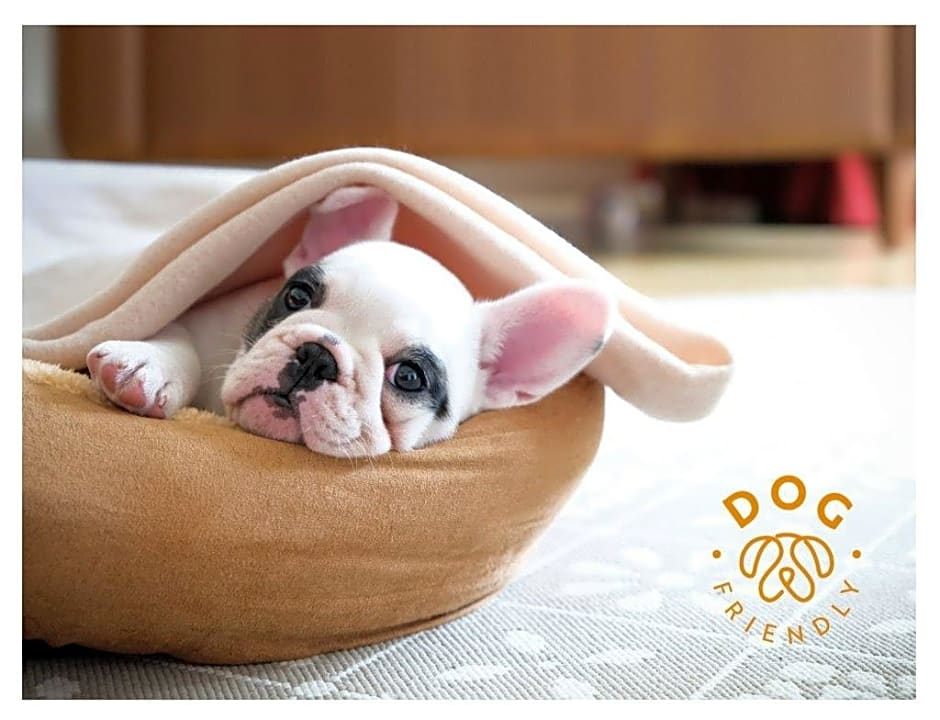 Photo 1 of 7 of Pet-Friendly