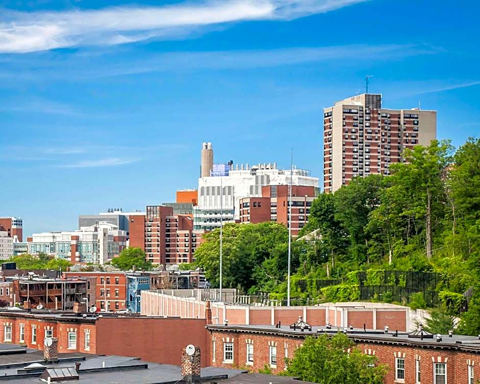 enVision Hotel Boston-Longwood