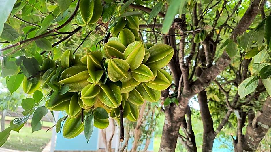 Pousada Recanto do Sossego