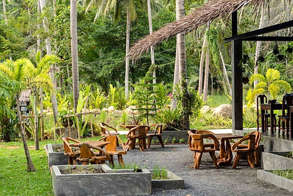 Wonderland Healing Center - All Inclusive