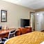 Comfort Inn Atlanta International Airport