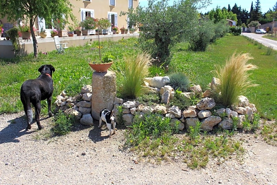 La Sarriette - Chambres d'hôtes et gîte d'étape à Eygalières
