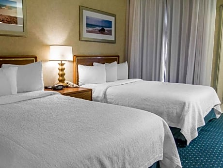 Standard Double Suite with Two Double Beds - Non-Smoking Pet Free