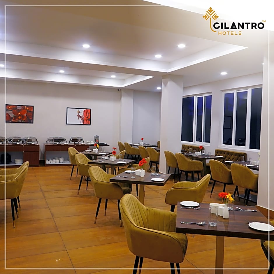Cilantro Comfort – Gangtok, OK