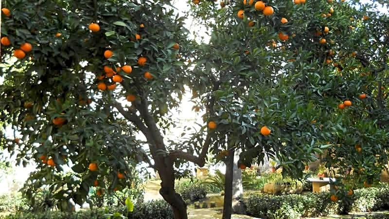 B&b l'Orangerie D'epoque