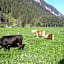 Gasthaus Häusling Alm