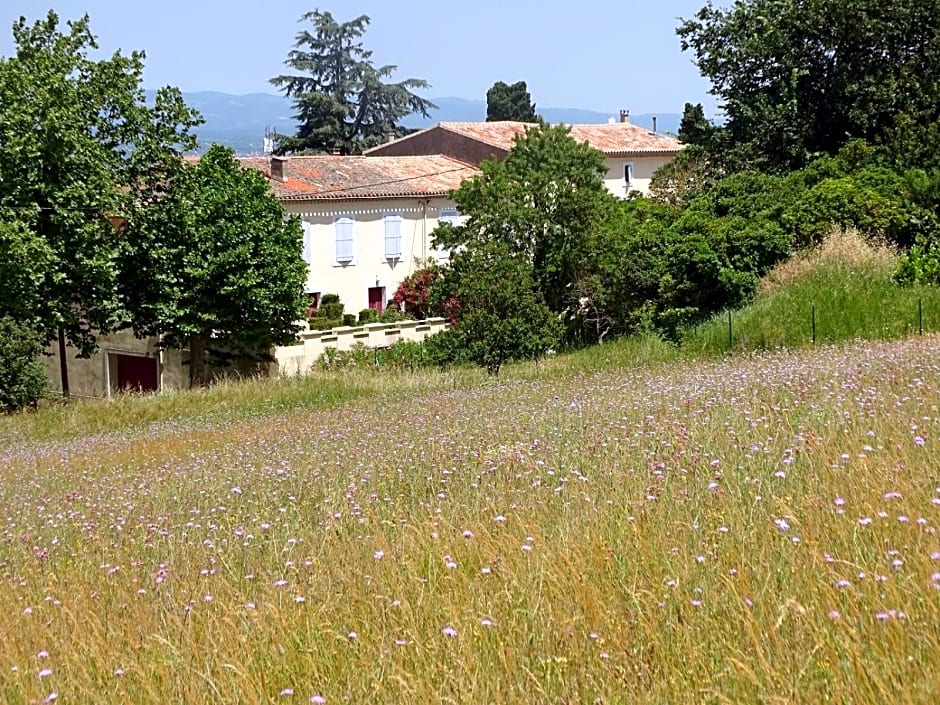 Domaine De La Petite Tour