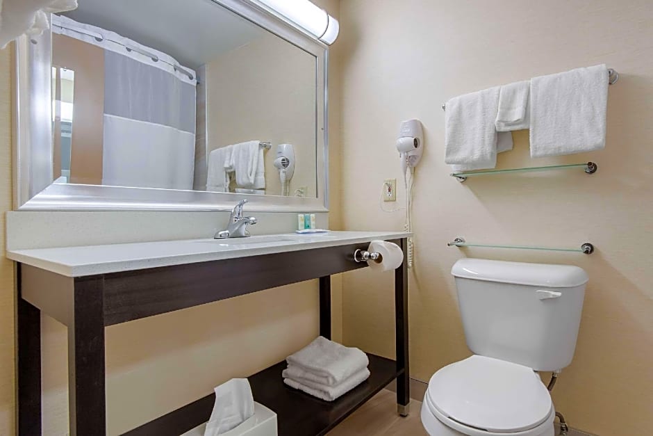 Quality Inn & Conference Centre Downtown