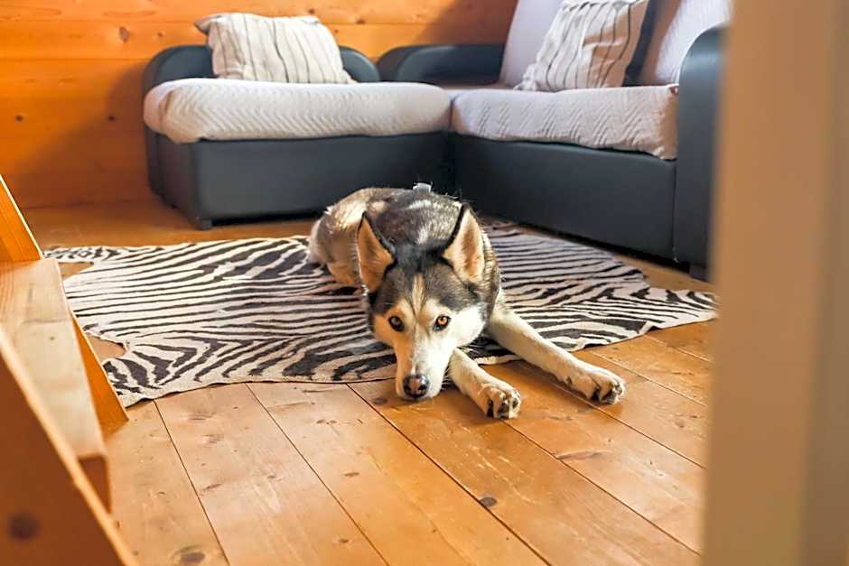 Vila da Laje - Onde a Natureza o envolve - Serra da Estrela