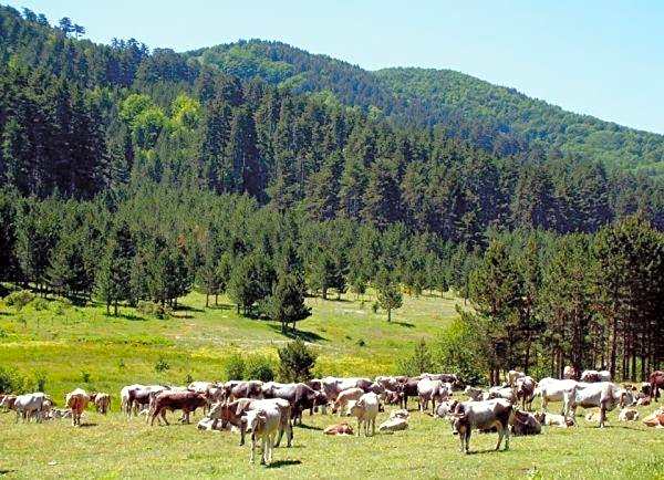 La Casa Di Chiaretta