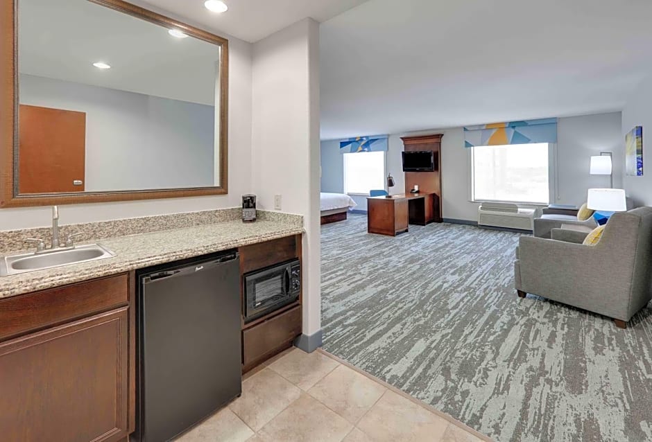 Hampton Inn By Hilton & Suites Dallas-Arlington-South