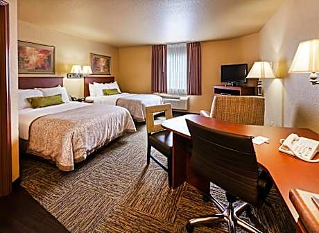 Studio Suite with Two Double Beds