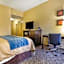 Comfort Inn & Suites At Stone Mountain