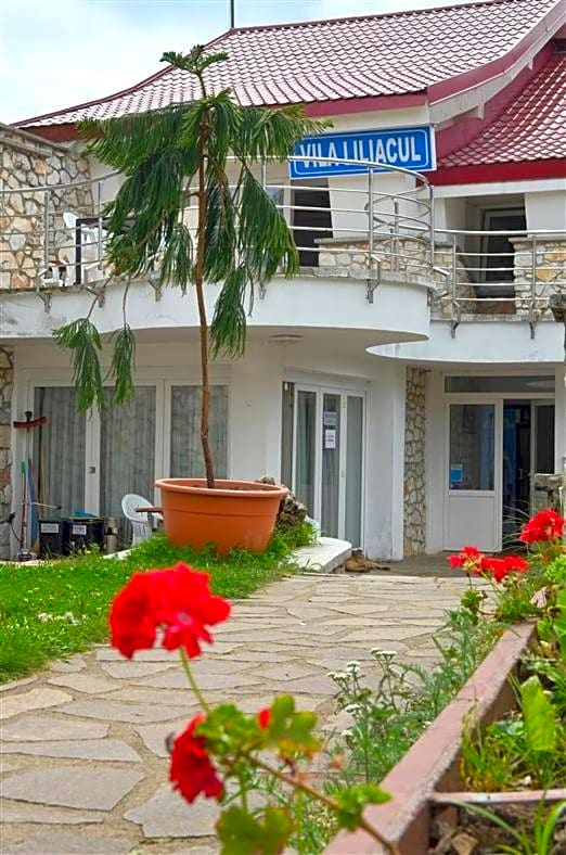 Vila Liliacul