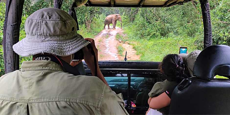 Big Game Yala - by Eco Team