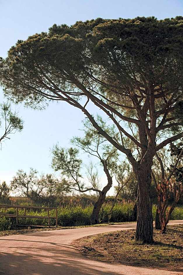 Auberge Cavaliere du Pont des Bannes