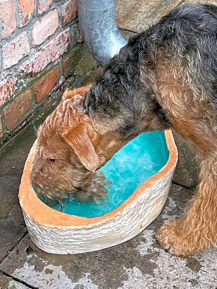 Agroturystyka Hanka i Jurek