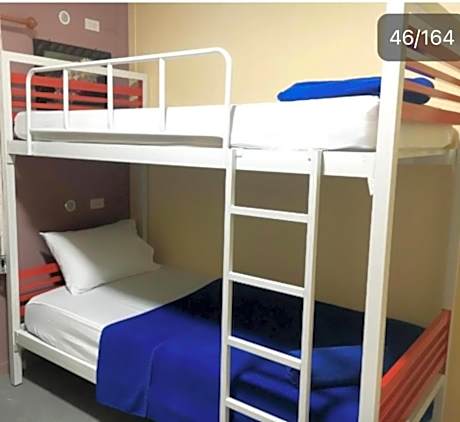 Bunk Bed in Mixed Dormitory Room