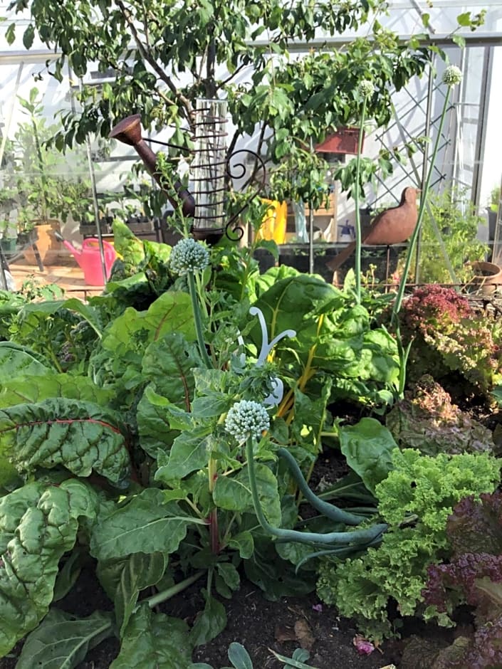 Bed & Breakfast Chez Lips