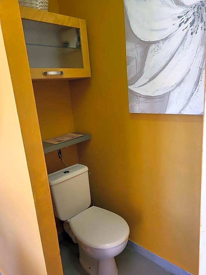 La Salamandre de Camargue