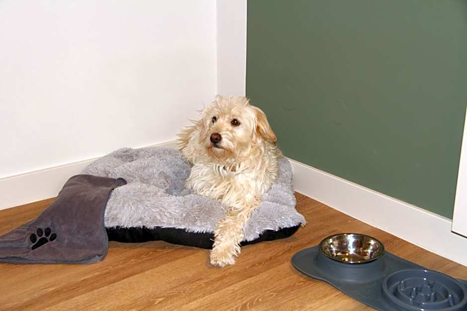 Gästehaus Centro in Konstanz