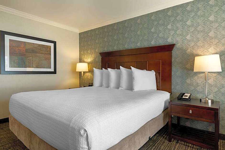 Best Western Plus Carriage Inn
