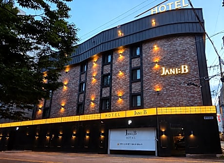 Jani B Hotel Seryu Station