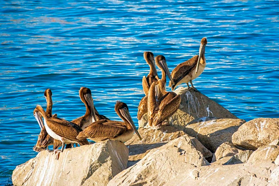 Morro Bay Beach Inn