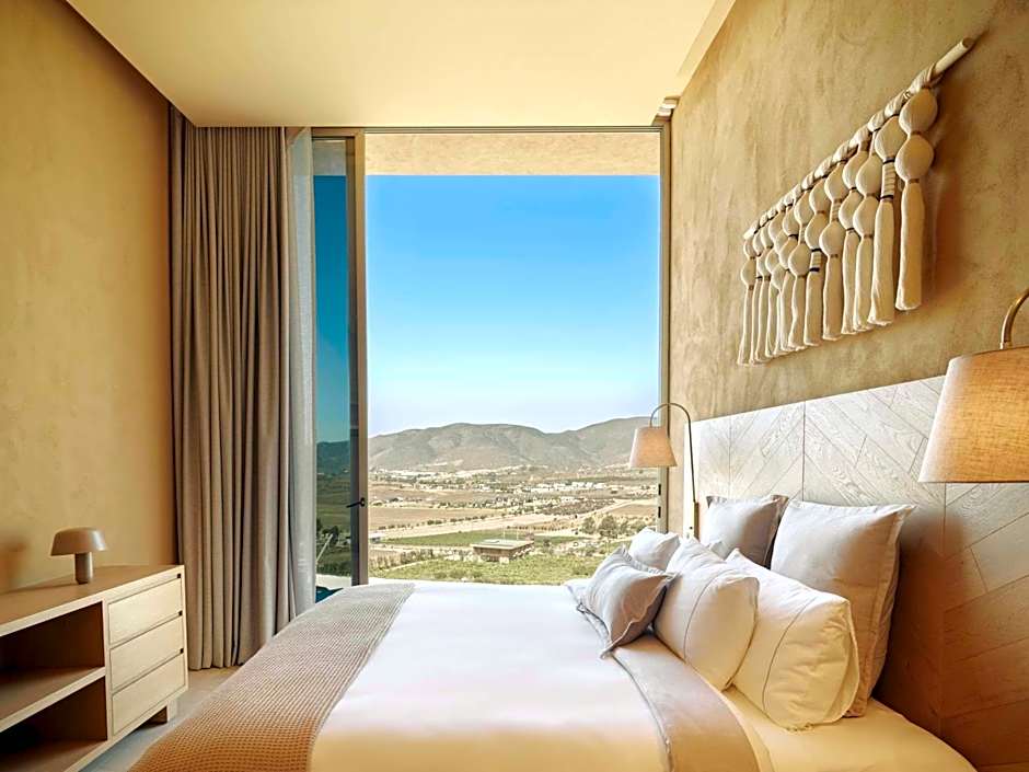 Banyan Tree Veya, Valle de Guadalupe