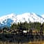 Tongariro Suites