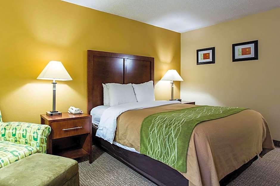 Comfort Inn Columbia West