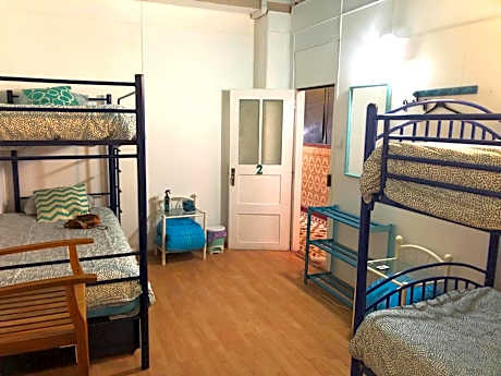 Bed in 6-Bed Mixed Dormitory Room