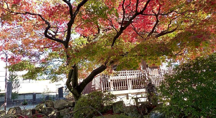 Minshuku Kuwataniya Ryokan