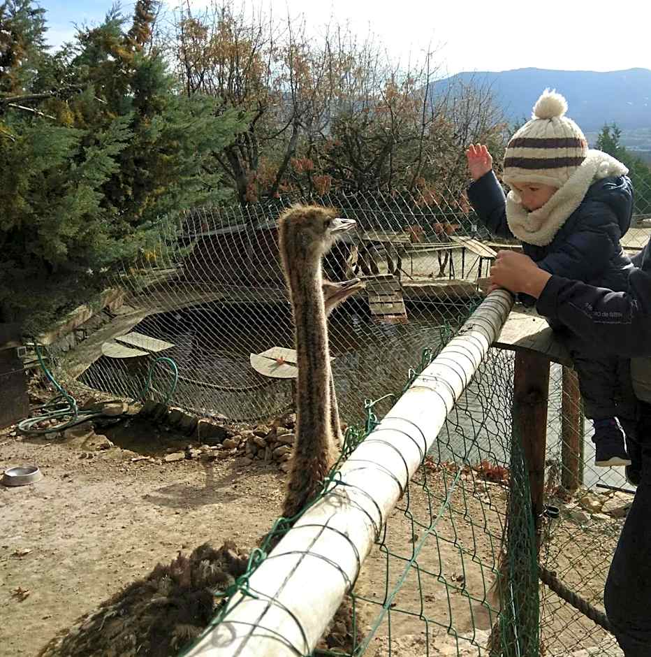 Posada Rural SPA Granja LA TEJERA de Lozoya